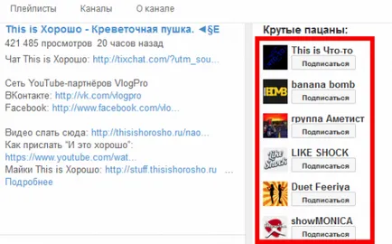Vlog изразяване и доходи, новодошлия