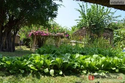 Виетнам, На Транг - 