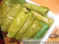 Dolma receptek fotókkal 36 dolma receptek