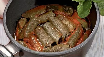 Dolma, hogyan kell főzni dolma szőlőlevél - nagyon finom receptek (levél) Dolma, hogyan kell főzni dolma szőlőlevél - nagyon finom receptek