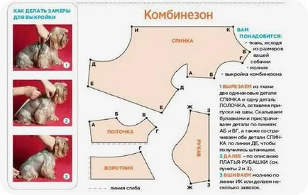 шаблоните за дрехи за кучета дребни породи като бод на дрехи (снимка)
