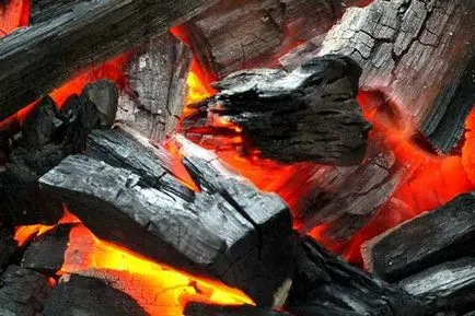 Видове въглища и за които те се използват