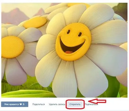 страница Wiki на VKontakte, bebiklad
