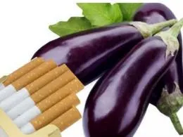Кои продукти съдържат никотин