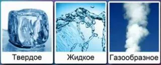 Вода - ролята на водата в природата и човешкия живот (човешки) Вода - ролята на водата в природата и човешкия живот