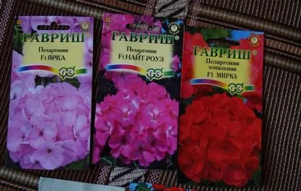 Отглеждане от семена мушкато практически съвети в страната