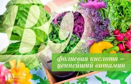 Какви храни съдържат фолиева киселина, блога Iriny Zaytsevoy (включен) Какви храни съдържат фолиева киселина, блог Iriny Zaytsevoy
