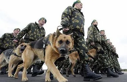 Вътрешни войски на България