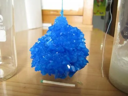 растеж Crystal у дома препоръки