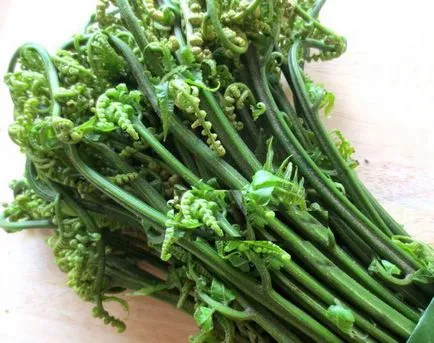 Вредите и ползите от човешка папрат