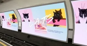 Добрата новина от света