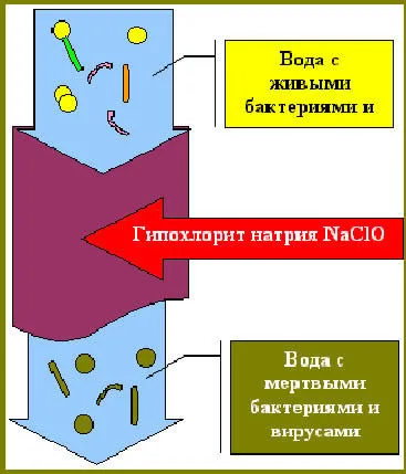 Хлорирането на водата в басейна на предимствата и недостатъците