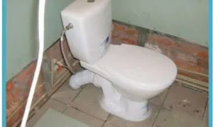 запушена тоалетна