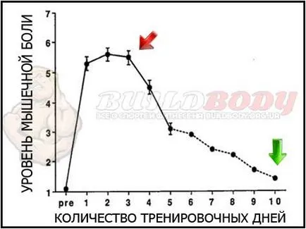 Защо се промени програмата за обучение и колко често трябва да се направи,