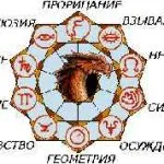 Конспирация късмет и пари в обучение, работа, бизнес, търговия, бизнес, личен живот, като Ванга,