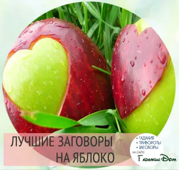 Конспирация на последствията ябълковите и отговорите на тези, които са направили ритуала (последиците) Конспирация на последствията ябълковите и отговорите на тези, които направи ритуал