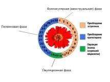 Мазната кожа на лицето какво да правя у дома, каузи