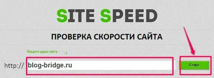 Domain és tárhely az oldalon kiemeli