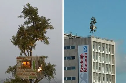 Fa házak 252 fotó