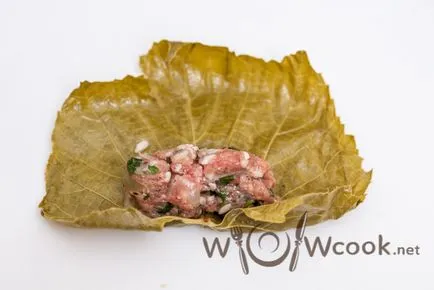 Dolma szőlőlevél, a lépésről lépésre recept fotók