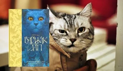 Топ 12 книги за котки - снимка животни