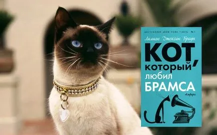 Топ 12 книги за котки - снимка животни