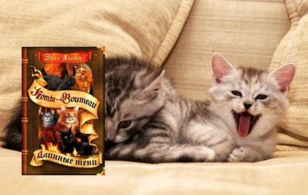 Топ 12 книги за котки - снимка животни