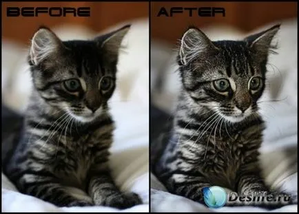 4 А просто начин за подобряване на качеството на картината в Photoshop