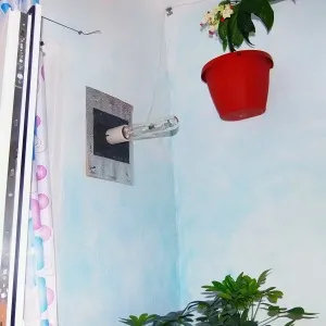 Бизнес за разсад