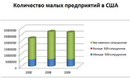 Бизнес в Америка предимства и някои функции