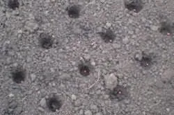 репички Захранващите