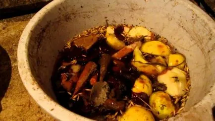 С какво да храним коза и деца емисия на маса