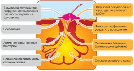 Почистете кожата в продължение на 2 месеца