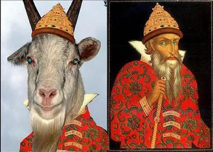 Какво е katsap и Moskal