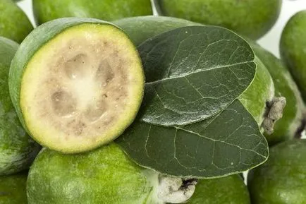 Egzotikus gyümölcsök, hogy lehet termeszteni az ablakpárkányon (amely) Egzotikus gyümölcsök, hogy lehet termeszteni az ablakpárkányon