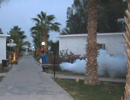 Egyiptom (Hurghada) kezdőknek