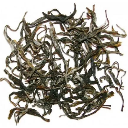 A hatás Puer
