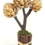 Направете кафе дърво у дома, Topiary