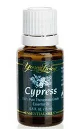 Cypress етерично масло имоти, приложение, противопоказания, рецепти и ревюта