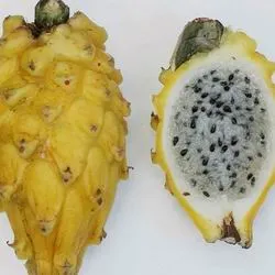 Dragon Fruit, питайя, дракон сърце, питайя, имена дракон очни и степени на полезни свойства