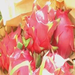 Dragon Fruit, питайя, дракон сърце, питайя, имена дракон очни и степени на полезни свойства