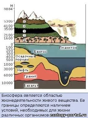 портал за околната среда