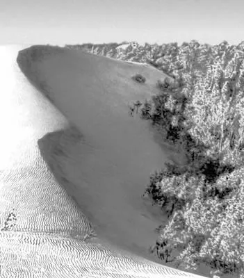 Dunes - това