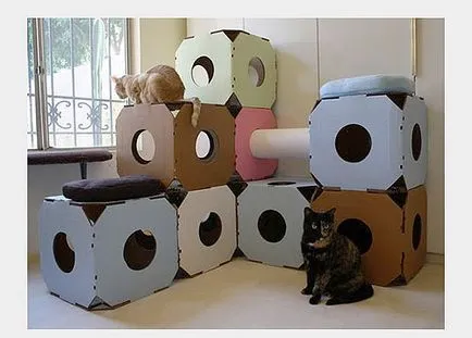 Къща Cat