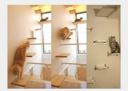Къща Cat