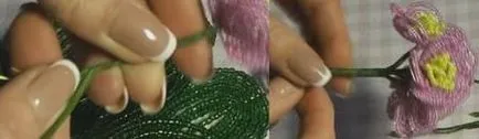 Violet топчета майсторски клас със стъпка по стъпка снимки