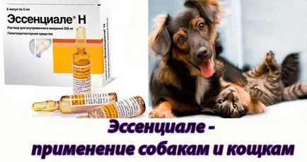 Есенциале N (есенциале н) инструкции за употреба при кучета и котки