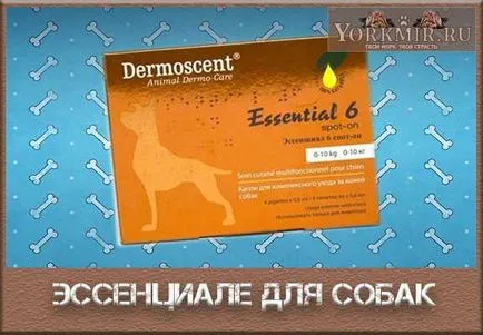 Есенциале за кучета доза, инструкции за употреба