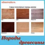 дърво пленер
