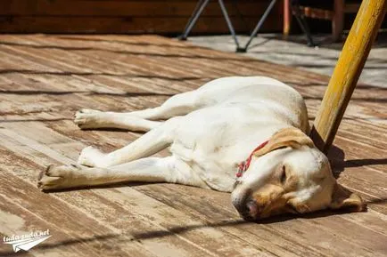 Град Шангри-Ла Китай - впечатления и снимки